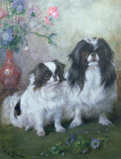 A Japanese Chin Bitch and Her Puppy, 1919 by Frances C. Fairman